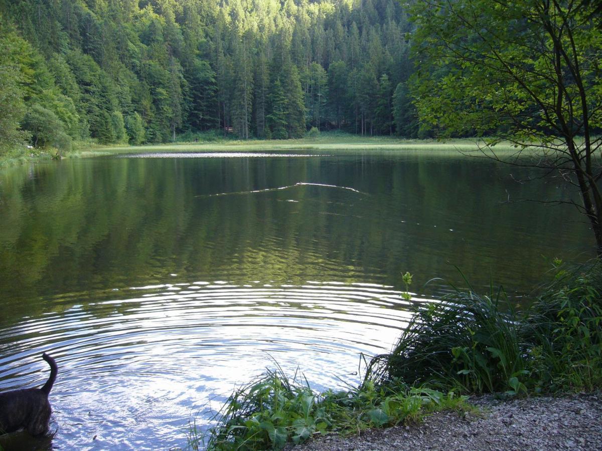 Berghotel Sutten Rottach-Egern Zewnętrze zdjęcie
